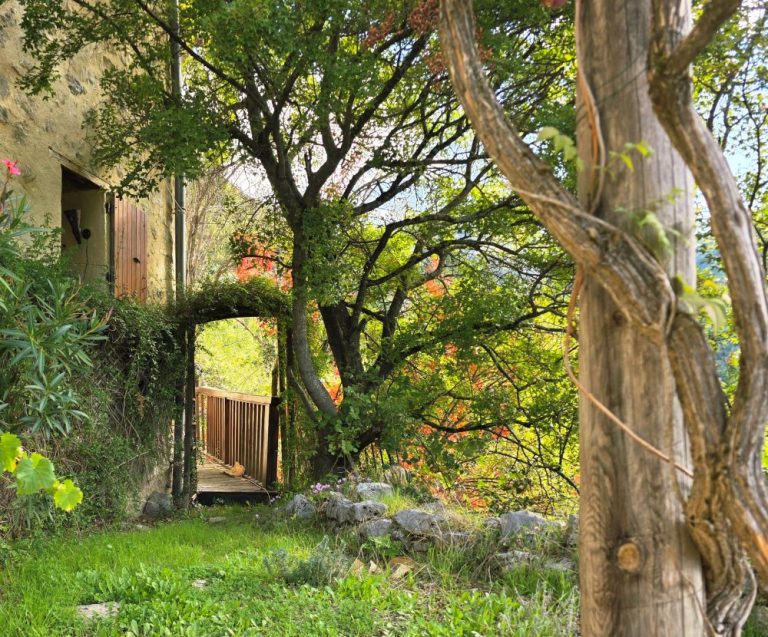 Inaugurationde l’Oasis de l’Âme