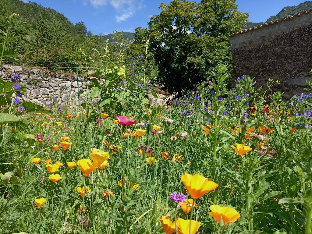 Ateliers cercle de silence